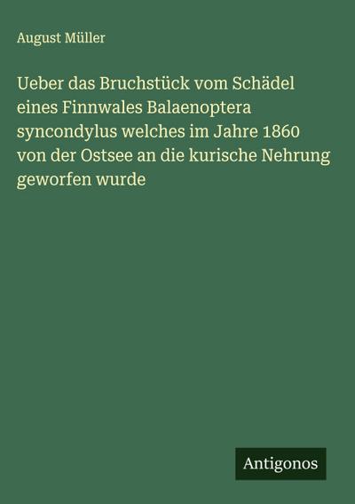 Ueber das Bruchstück vom Schädel eines Finnwales Balaenoptera syncondylus welches im Jahre 1860 von der Ostsee an die kurische Nehrung geworfen wurde