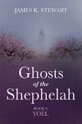 Ghosts of the Shephelah, Book 9