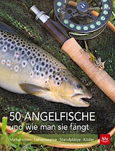 50 Angelfische und wie man sie fängt