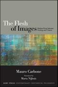 The Flesh of Images
