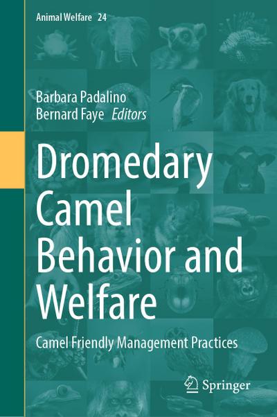 Dromedary Camel Behavior and Welfare