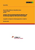 Analyse eines branchenspezifischen Marktes und Erarbeitung möglicher Markteintrittsstrategien
