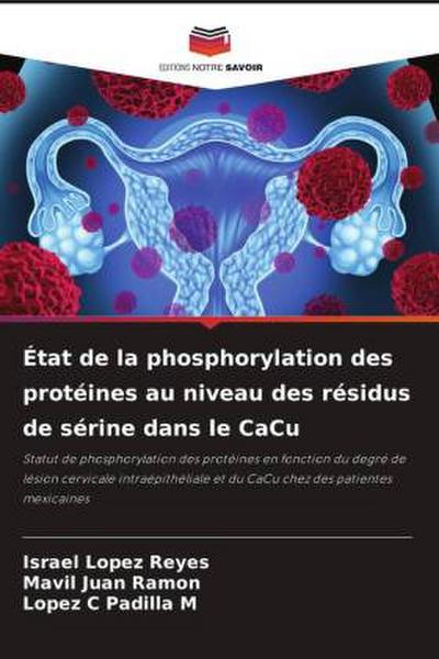 État de la phosphorylation des protéines au niveau des résidus de sérine dans le CaCu