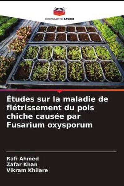 Études sur la maladie de flétrissement du pois chiche causée par Fusarium oxysporum