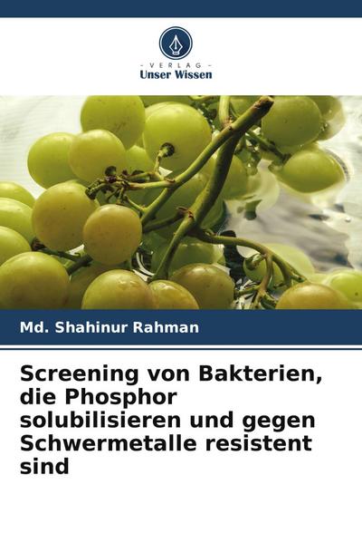 Screening von Bakterien, die Phosphor solubilisieren und gegen Schwermetalle resistent sind