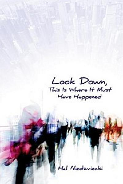 Look Down, This is Where It Must Have Happened (eBook, EPUB) - Hal Niedzviecki