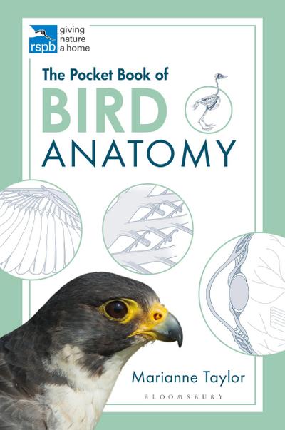 The Pocket Book of Bird Anatomy
