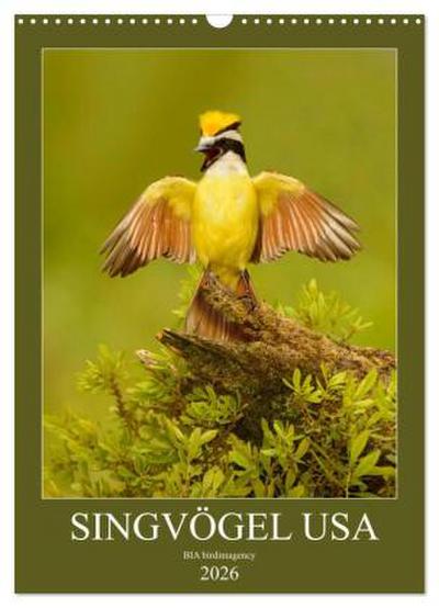 Singvögel USA (Wandkalender 2026 DIN A3 hoch), CALVENDO Monatskalender