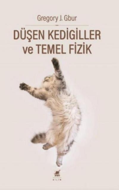 Düsen Kedigiller ve Temel Fizik