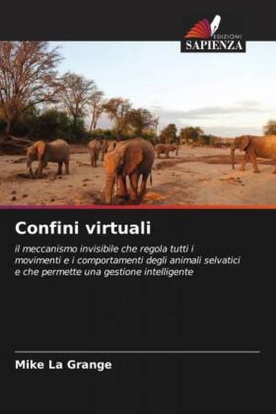 Confini virtuali