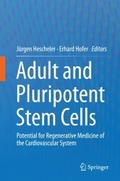 Adult and Pluripotent Stem Cells
