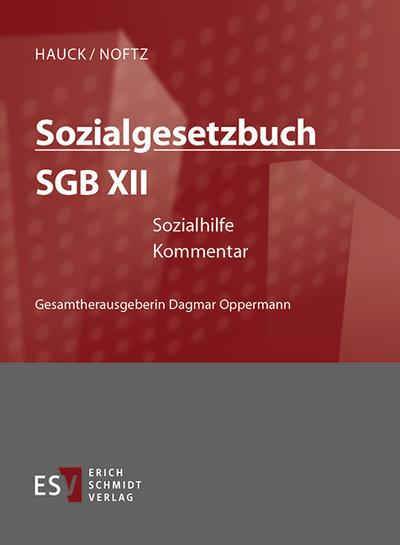 Sozialgesetzbuch (SGB) XII: Sozialhilfe - Einzelbezug