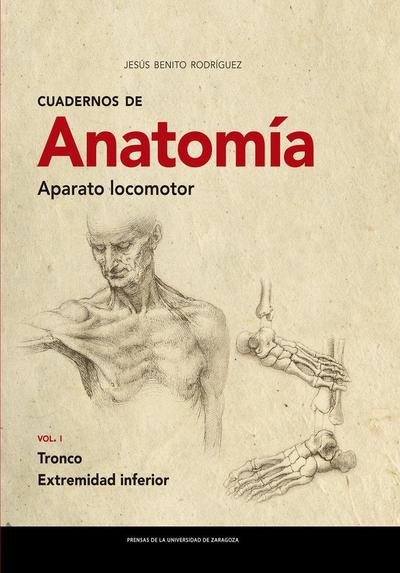 Cuadernos de anatomía : aparato locomotor I : tronco : extremidad inferior