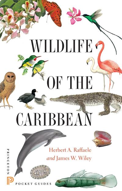 Wildlife of the Caribbean