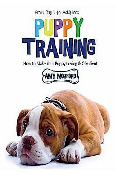 Puppy Training: From Day 1 to Adulthood