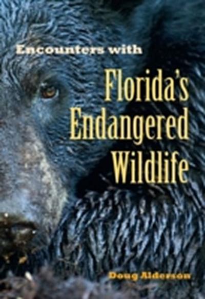 Encounters with Florida’s Endangered Wildlife