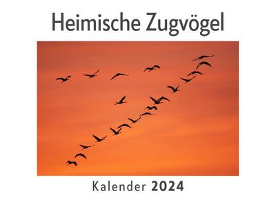 Heimische Zugvögel (Wandkalender 2024, Kalender DIN A4 quer, Monatskalender im Querformat mit Kalendarium, Das perfekte Geschenk)