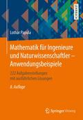 Mathematik für Ingenieure und Naturwissenschaftler - Anwendungsbeispiele
