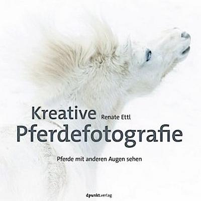 Kreative Pferdefotografie
