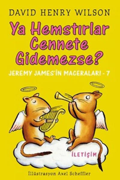 Ya Hemstirlar Cennete Gidemezse