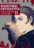 Marginal Operation Volume 11