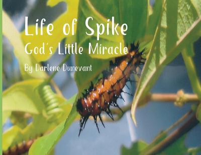 Life of Spike