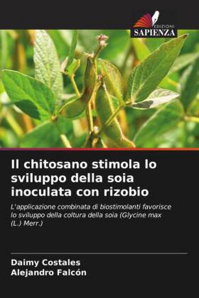 Il chitosano stimola lo sviluppo della soia inoculata con rizobio