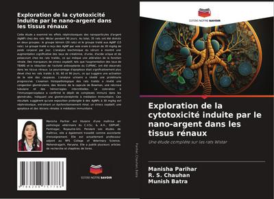 Exploration de la cytotoxicité induite par le nano-argent dans les tissus rénaux