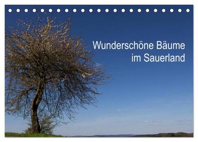 Wunderschöne Bäume im Sauerland (Tischkalender 2026 DIN A5 quer), CALVENDO Monatskalender