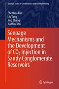 Seepage Mechanisms and the Development of CO Injec