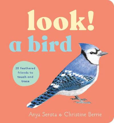 Look! a Bird