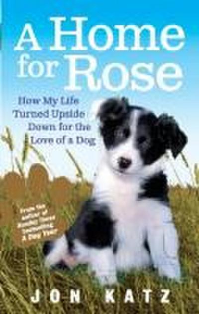 A Home for Rose