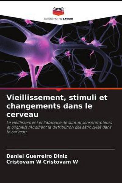 Vieillissement, stimuli et changements dans le cerveau