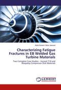 Characterizing Fatigue Fractures in EB Welded Gas 