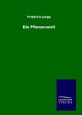 Die Pflanzenwelt