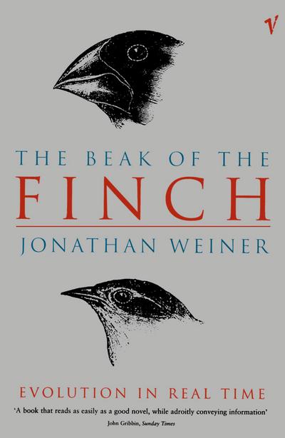 The Beak Of The Finch