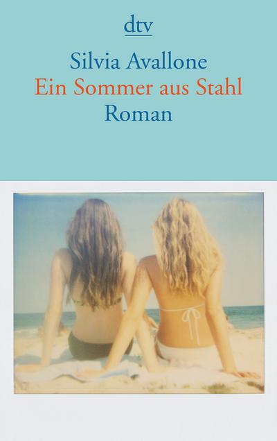 Ein Sommer aus Stahl: Roman (dtv Literatur)