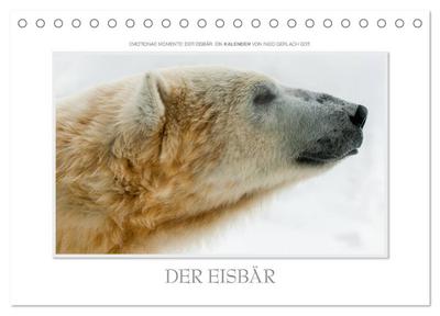 Emotionale Momente: Der Eisbär. (Tischkalender 2024 DIN A5 quer), CALVENDO Monatskalender