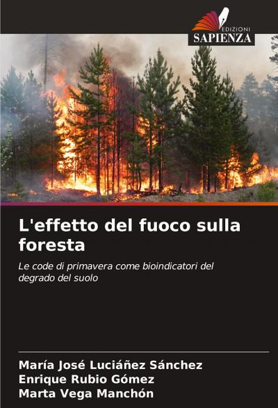 L’effetto del fuoco sulla foresta