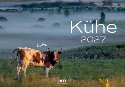 Kühe Kalender 2027 Wandkalender