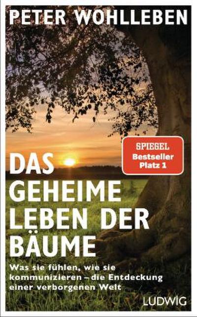 Das geheime Leben der Bäume