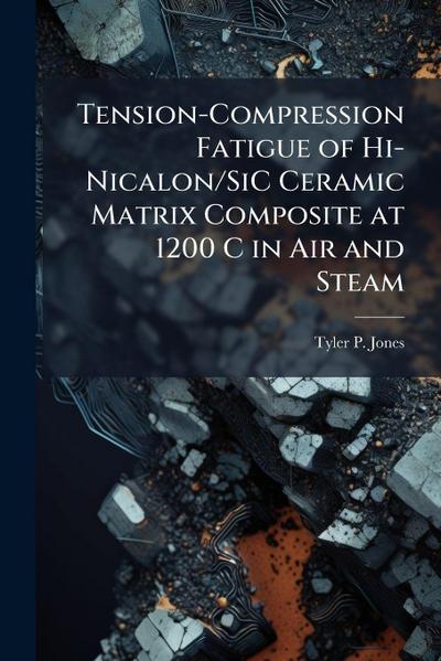 Tension-Compression Fatigue of Hi-Nicalon/SiC Ceramic Matrix Composite at 1200 C in Air and Steam