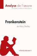 Frankenstein de Mary Shelley (Analyse de l’oeuvre)