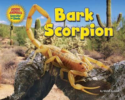 Bark Scorpion