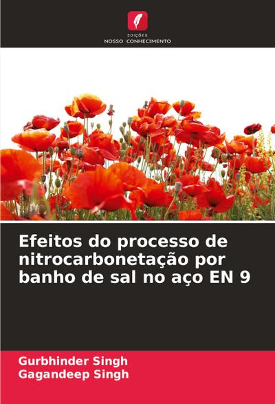 Efeitos do processo de nitrocarbonetação por banho de sal no aço EN 9