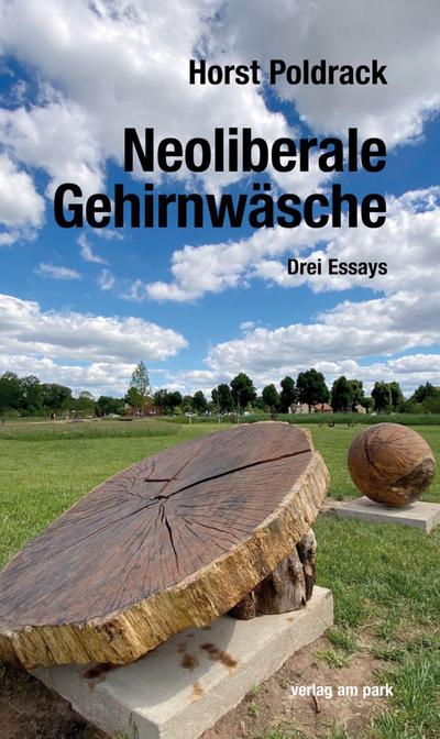 Neoliberale Gehirnwäsche: Drei Essays (verlag am park)