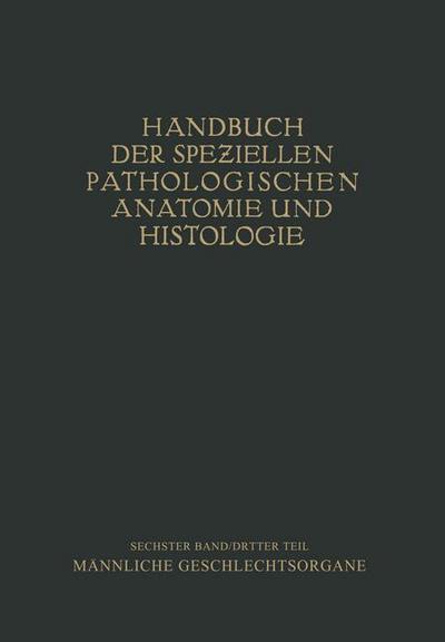 Harnorgane Männliche Geschlechtsorgane