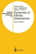 Dynamics in Infinite Dimensions (Applied Mathemati
