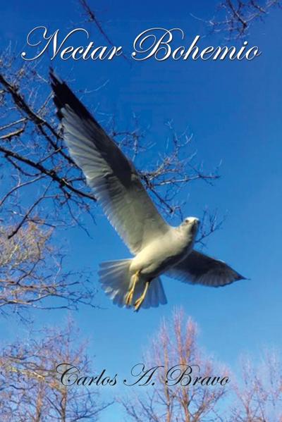 NECTAR  BOHEMIO