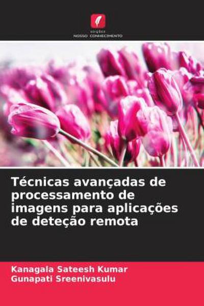 Técnicas avançadas de processamento de imagens para aplicações de deteção remota